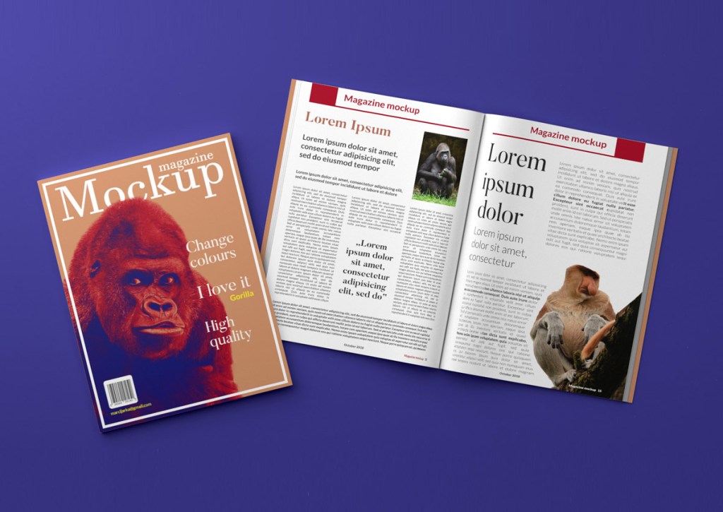 13+ Download Magazine Mockup Free&nbsp;Psd
